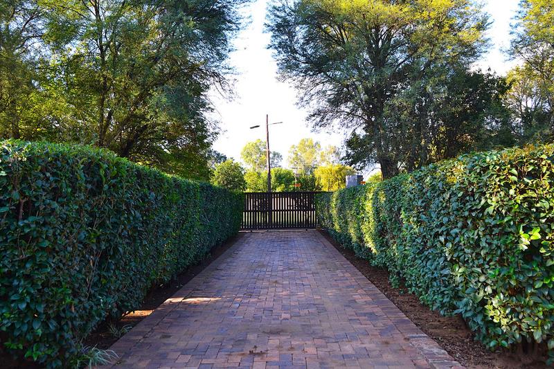 To Let 4 Bedroom Property for Rent in Vyfhoek A H North West